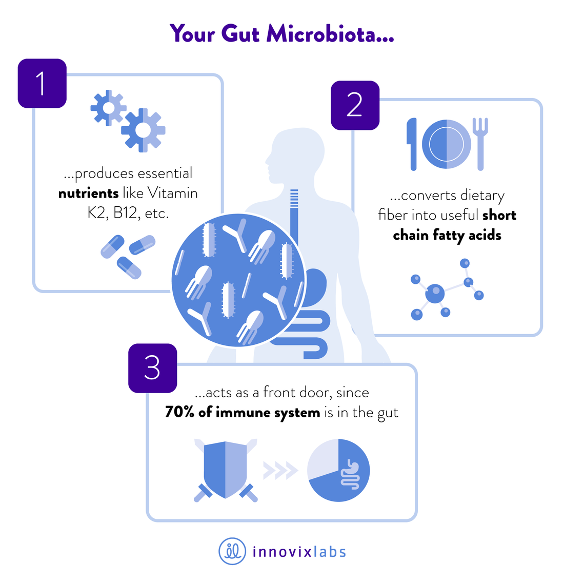 3 Reasons why your Gut Microbiome is called the 'Forgotten Organ'