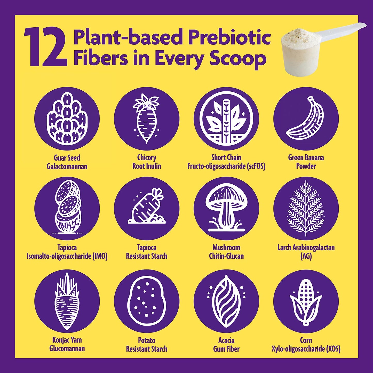 12 plant-based prebiotic fibers infographic