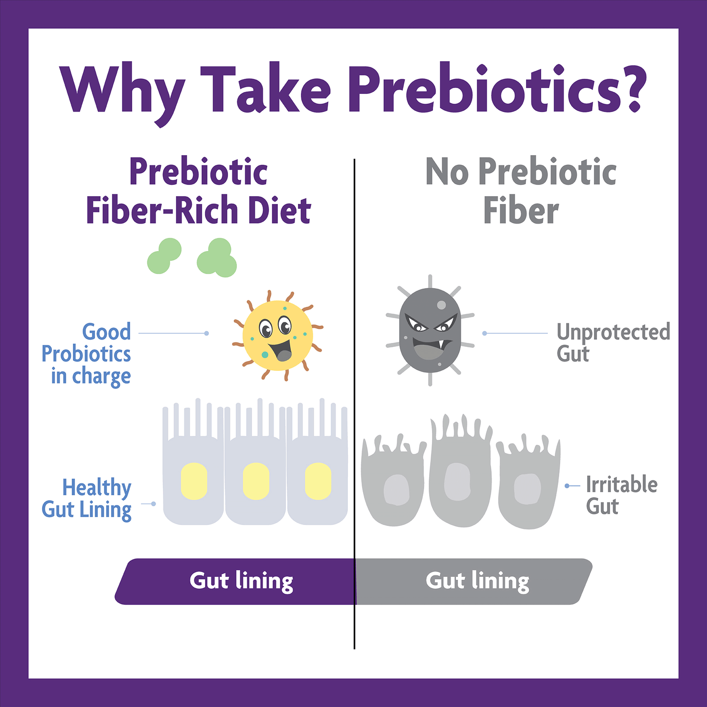 Why Take Prebiotics infographic