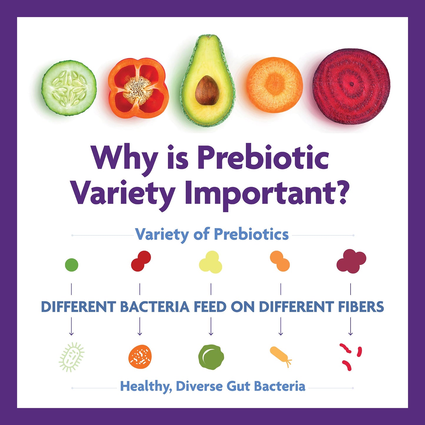 Why is Prebiotic Variety important infographic